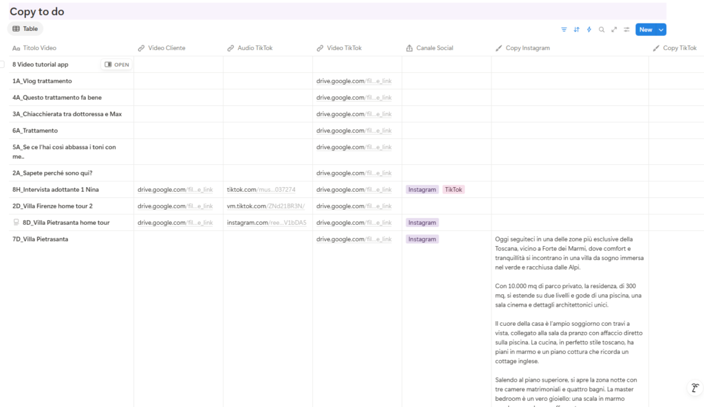 Vista del database contenuti per la gestione dei copy